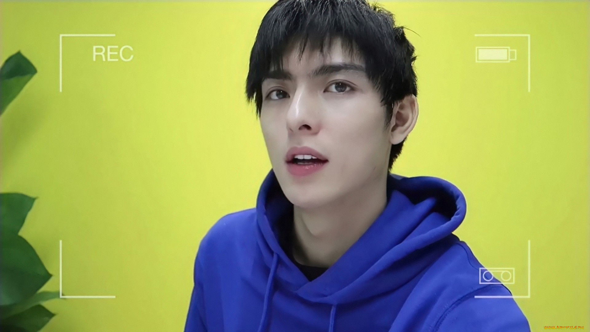 , wang hao xuan, , , wang, hao, xuan